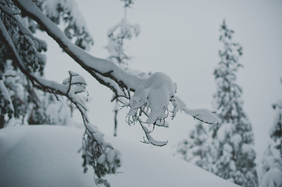 Winter // Valokuvaus Espoo