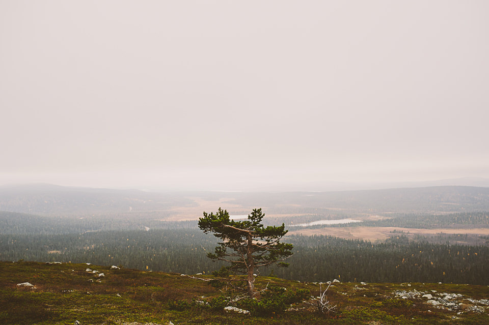 0047-Wedding Photographer Lapland