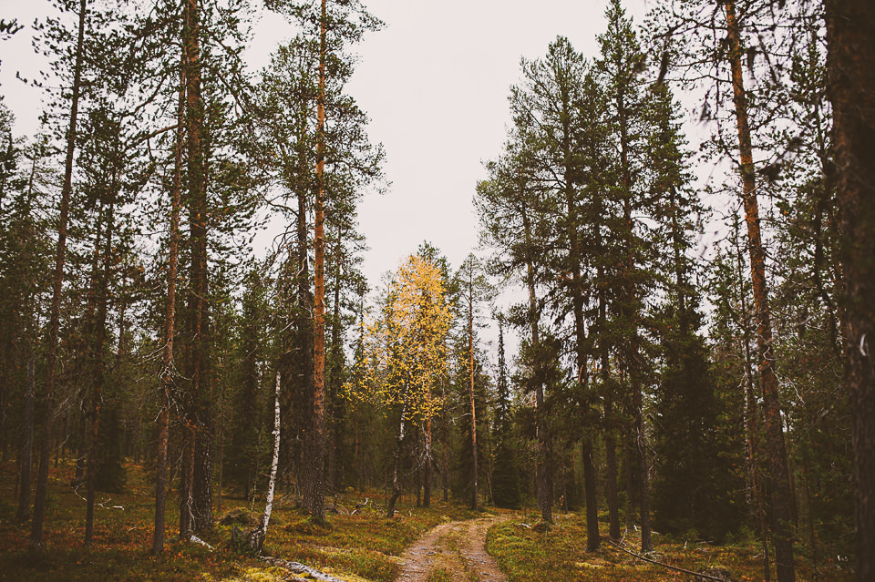 0067-Wedding Photographer Lapland