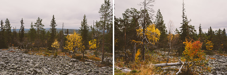 0077-Wedding Photographer Lapland