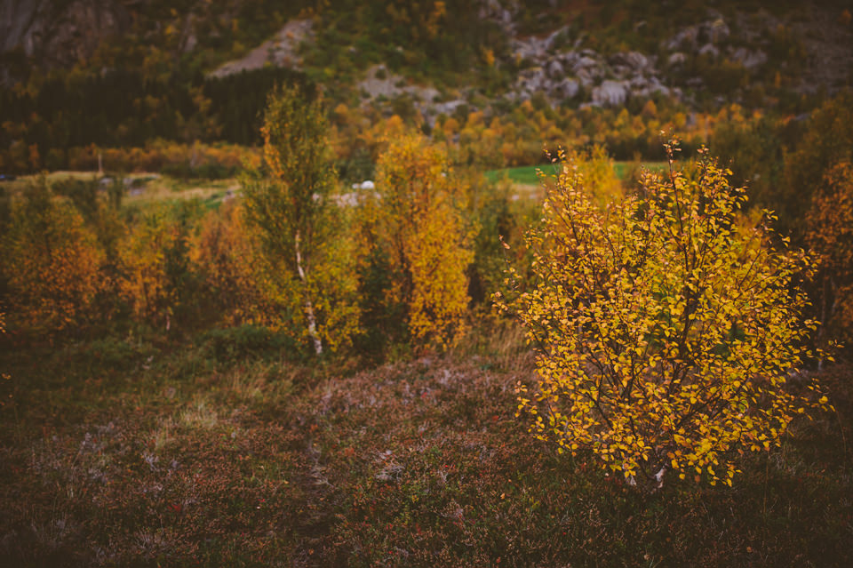 Wedding Photographer Norway-0042