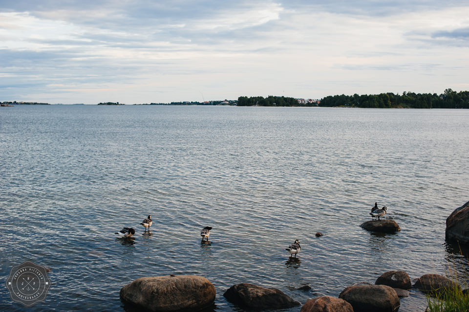 Destination wedding photographer Helsinki-0116