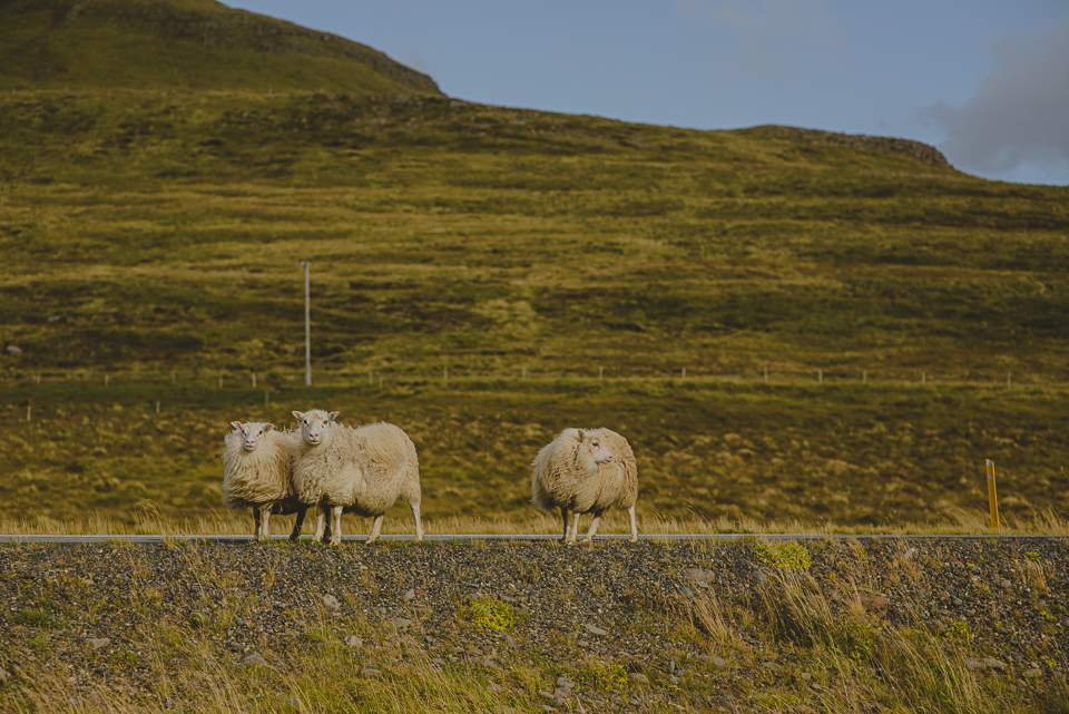 Iceland Elopement Photographer