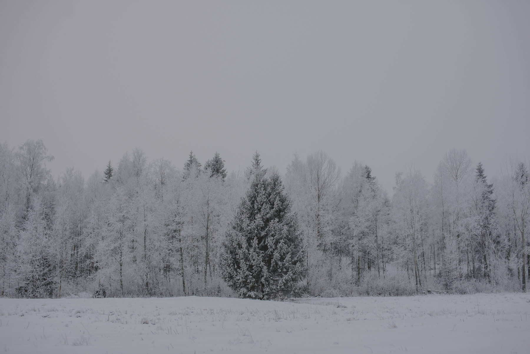 Landscape photography Finland 0001
