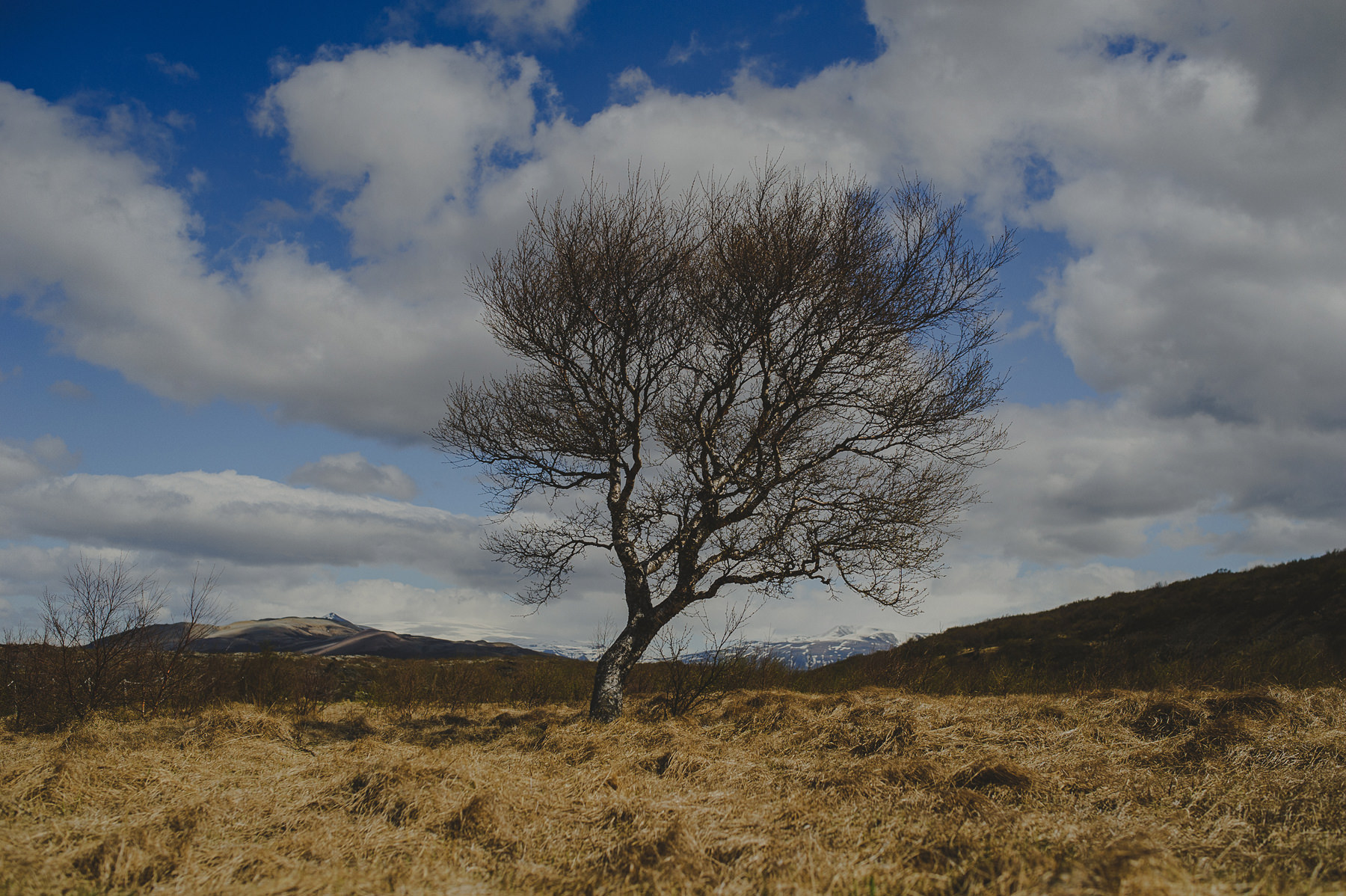 ICELAND PHOTOGRAPHER-0003