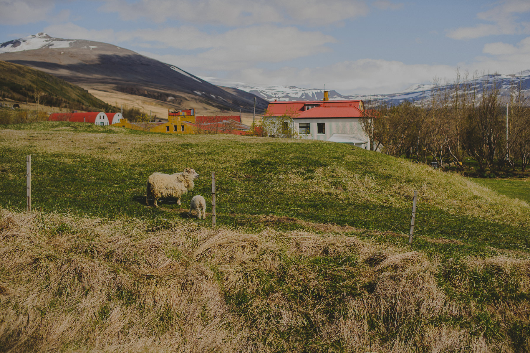 ICELAND PHOTOGRAPHER-0013