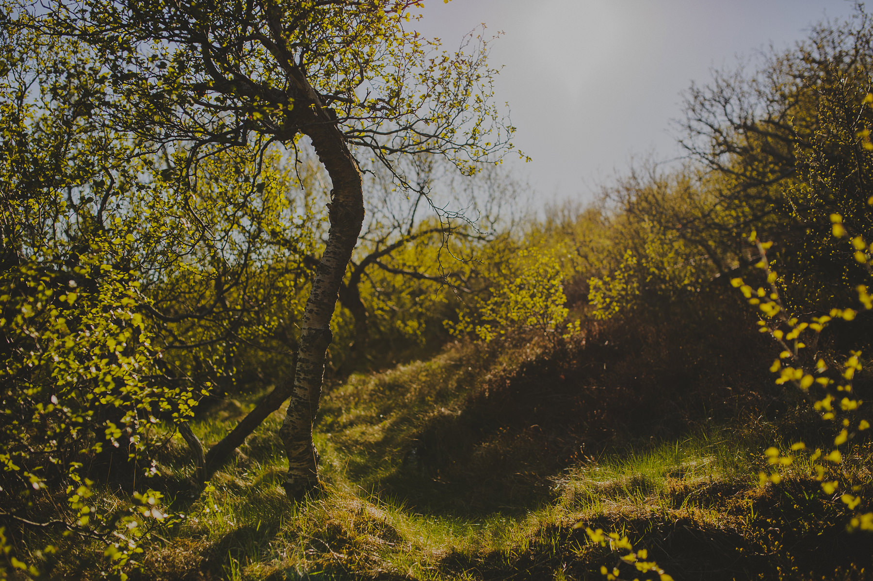 ICELAND PHOTOGRAPHER-0030