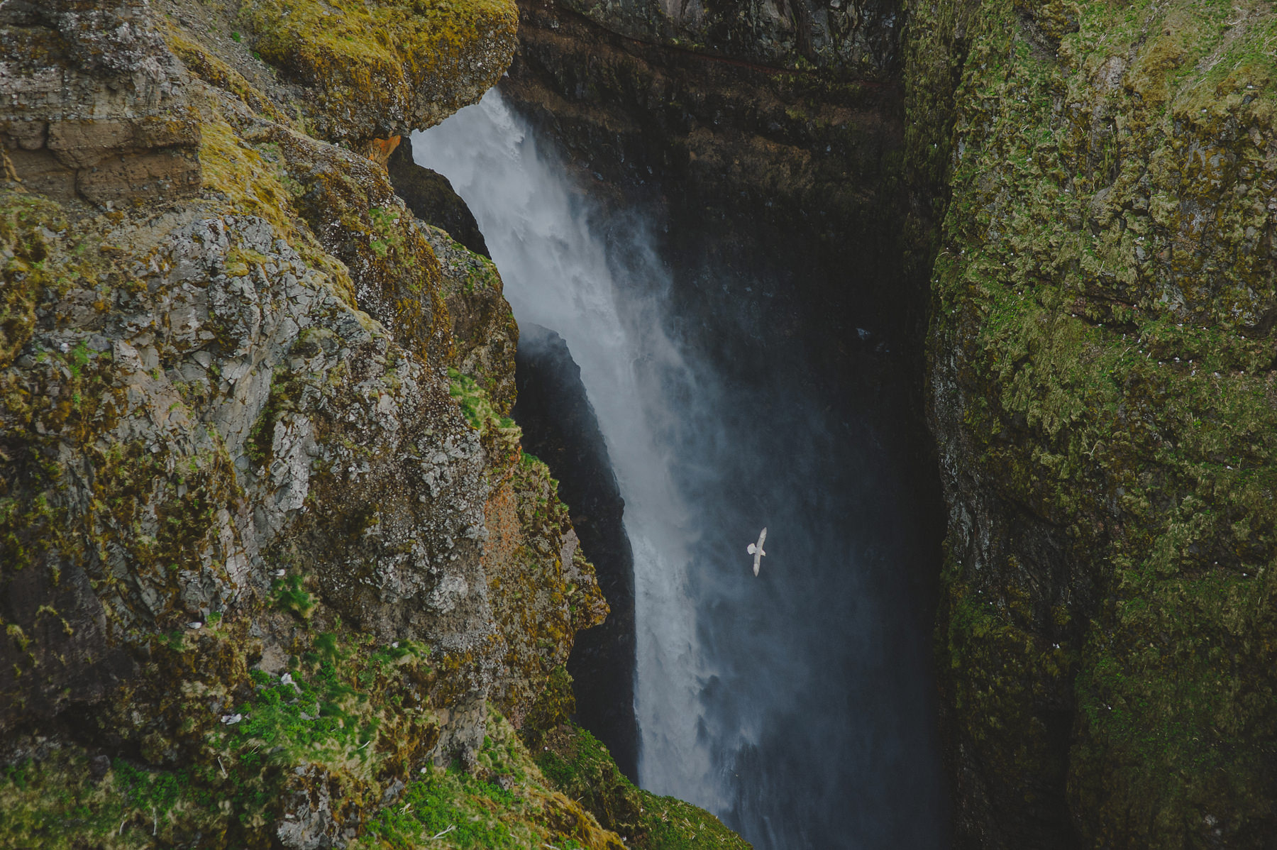 ICELAND PHOTOGRAPHER-0039