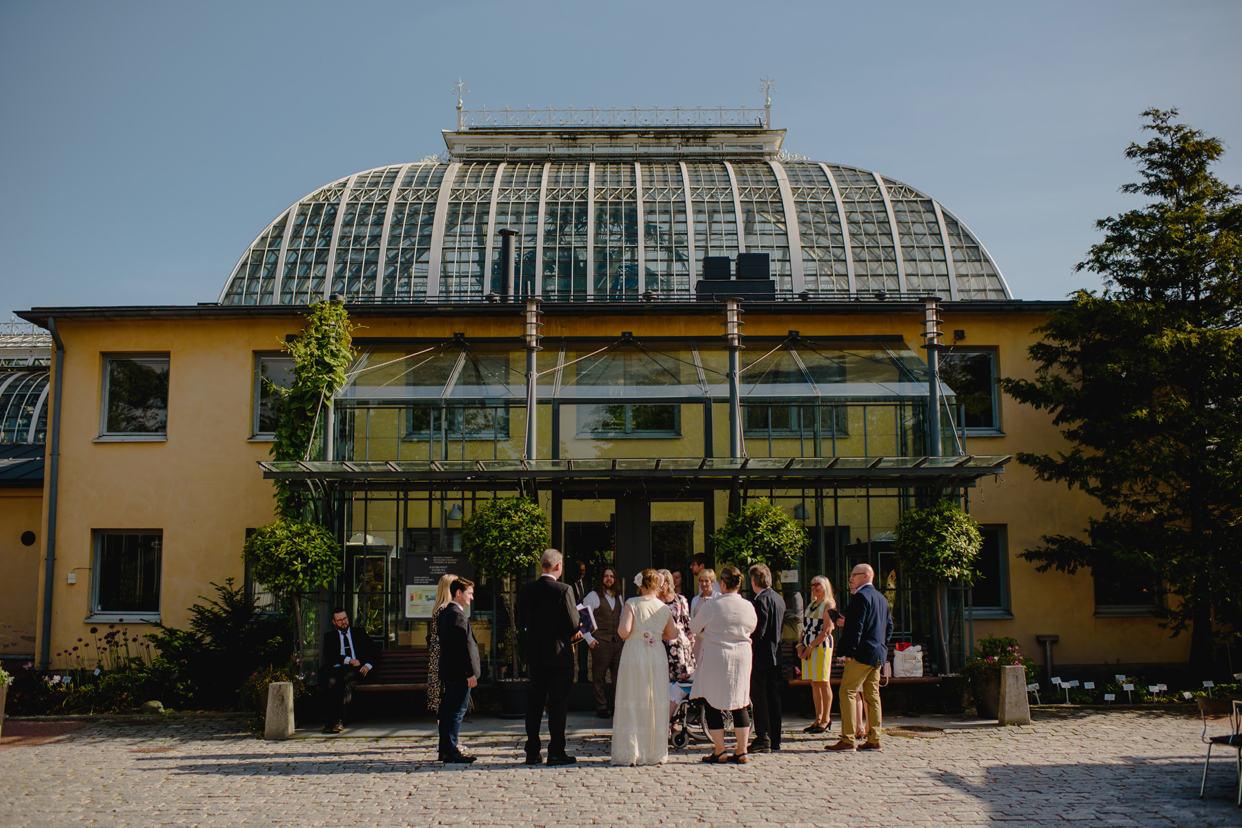 Greenhouse Wedding Häät Kaisaniemen Kasvitieteellisessä Puutarhassa