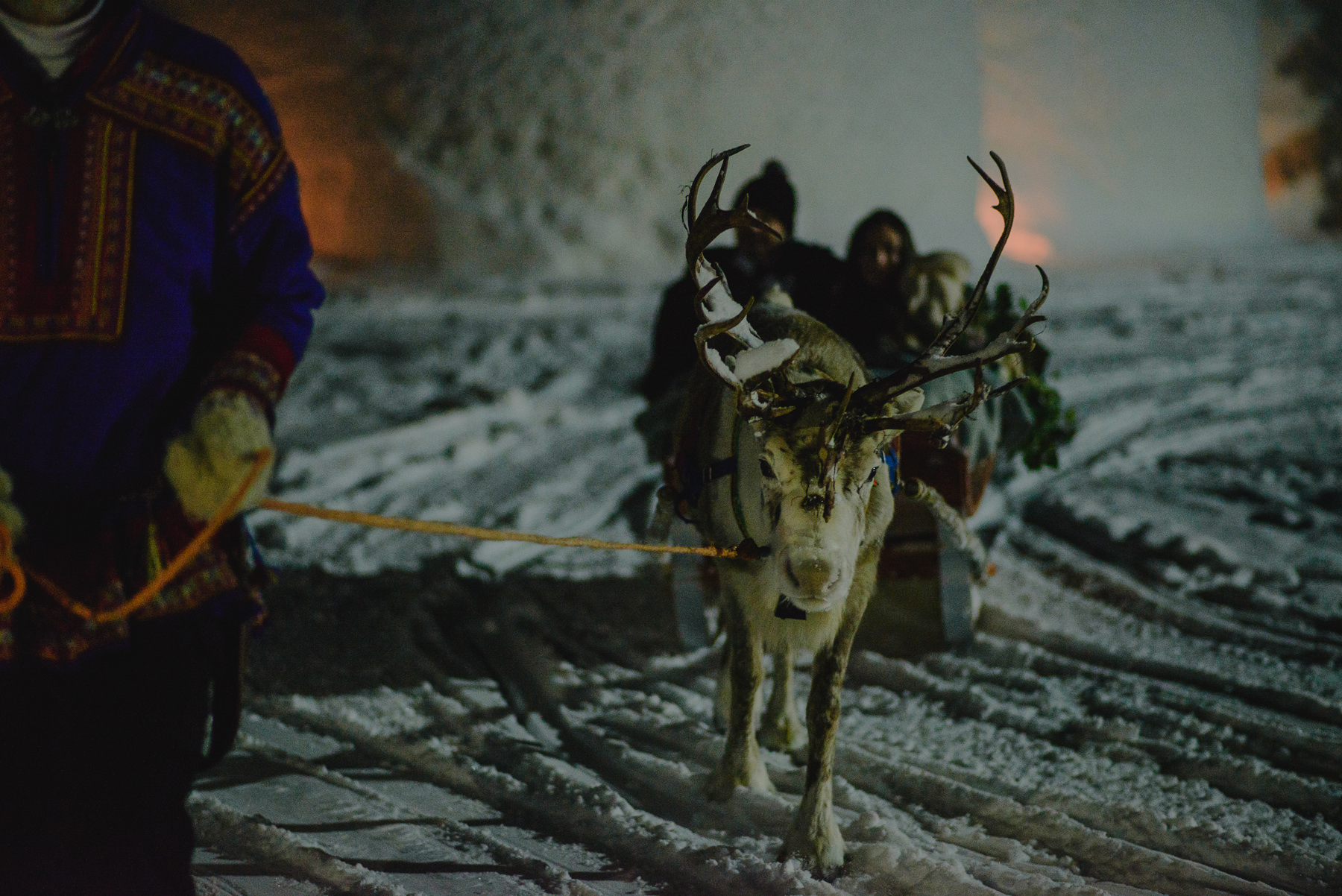 LAPLAND WEDDING PHOTOGRAPHER SnowVillage with reindeer